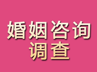 贡井婚姻咨询调查